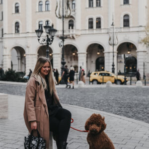 Kis kézitáska - SOFTSHELL LSB x neverjustadog