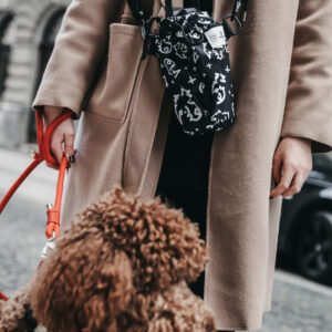 Kulacstartó táska - SOFTSHELL LSB x NEVER JUST A DOG