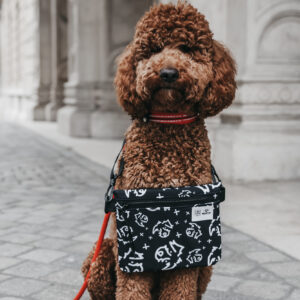 Mini PLUSZ - SOFTSHELL LSB x neverjustadog