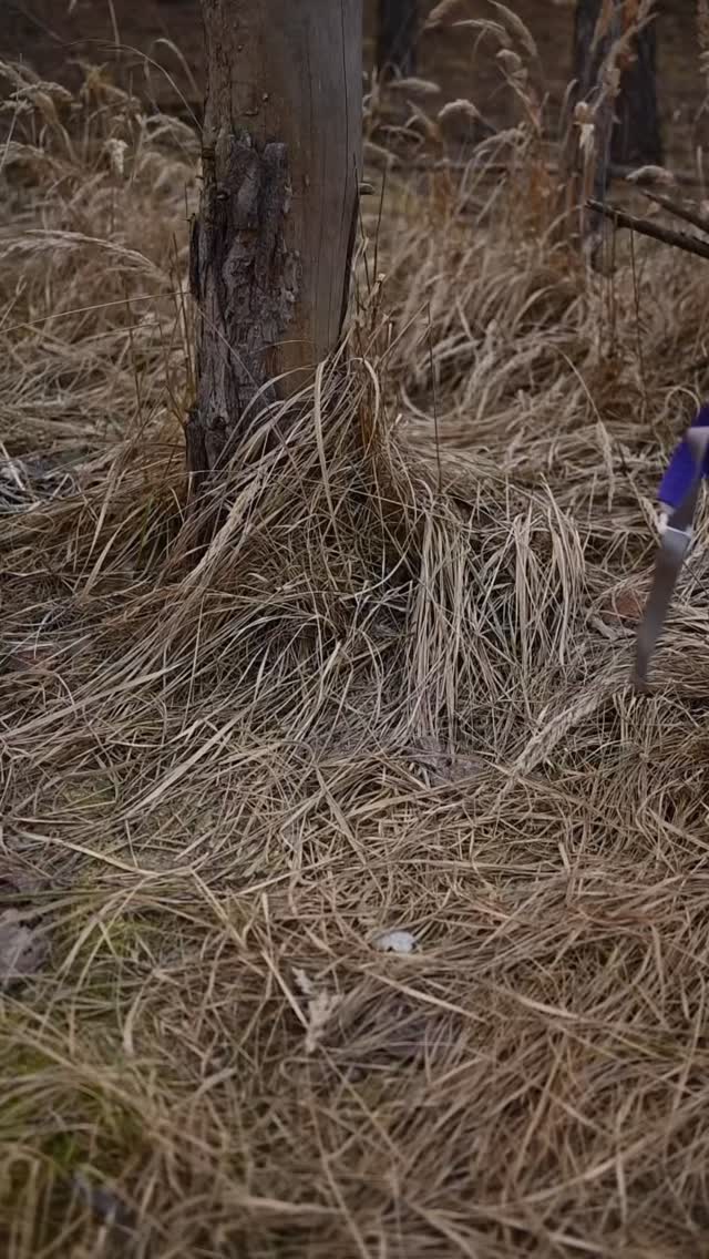 Hétvégi szánkózás a friss hóban? Kétujjas, softshell kesztyűink nemcsak divatosak, de védik a kezed a hidegtől, miközben kényelmesen fogod a szánkó kötélét. Rendeld meg ma, és a szombati, havas családi programon már élesben tesztelheted is! /// #winterfun #designforwinter